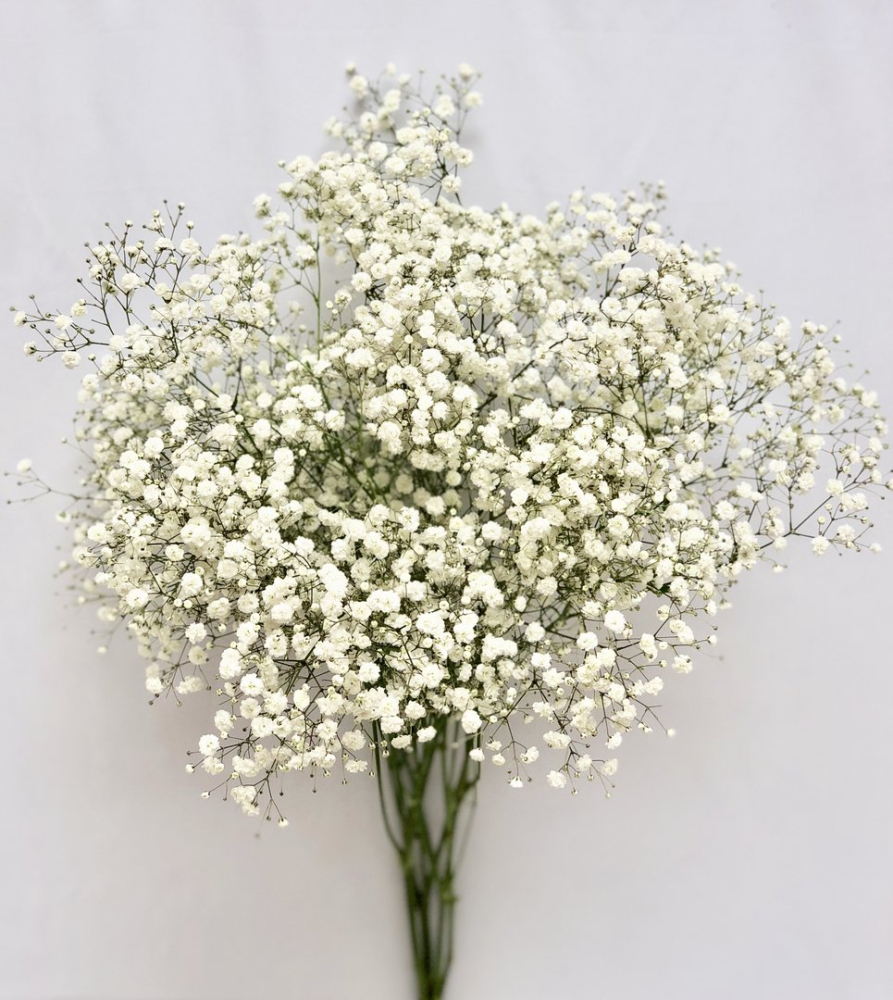 1pcs 65cm White Small Fresh Stars Artificial Flowers for Wedding Party Home Deco