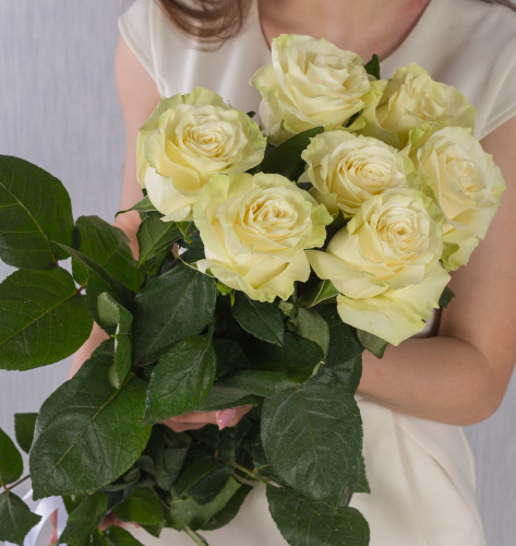 Букет из 7 Белых крупных роз 60 см арт. 36402