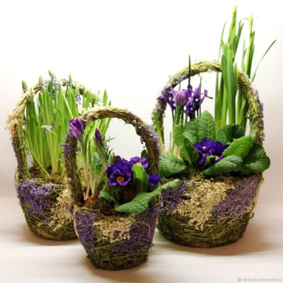 Корзинка с луковичными первоцветами S (примула, ирис, мускарии) 28392