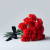 Гвоздика красная ПОШТУЧНО арт. 24