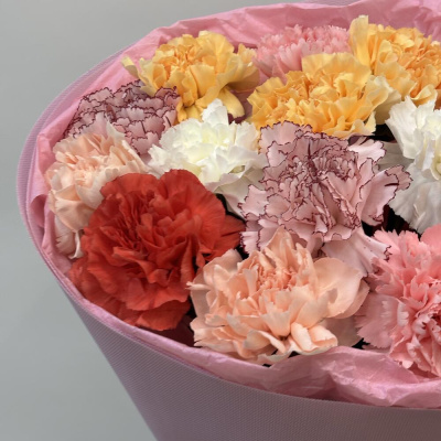 Букет из 15 цветных сортовых диантусов N 47542