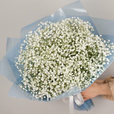 Букет из белых гипсофил N 50455