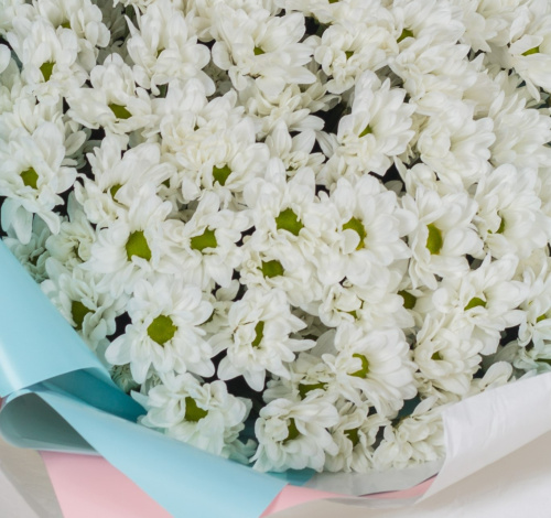 Букет-гигант из кустовых хризантем N 36151