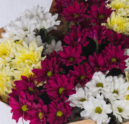 Букет из разноцветных хризантем N 35809