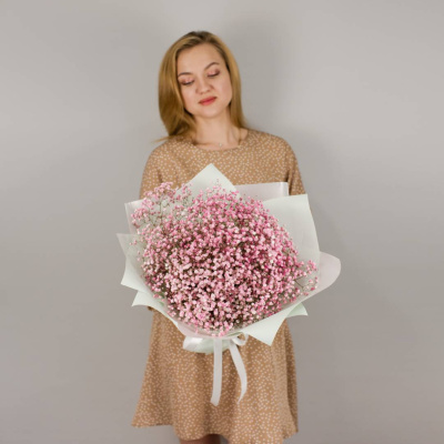 Букет из розовых гипсофил N 50459