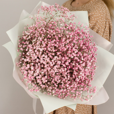 Букет из розовых гипсофил N 50459