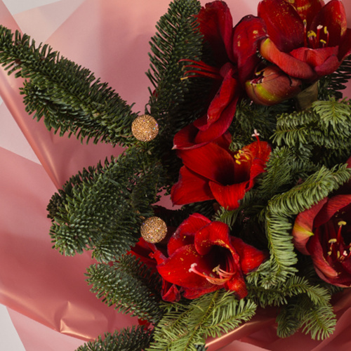 Букет с амариллисом и еловыми ветками "Волшебный" N 72277