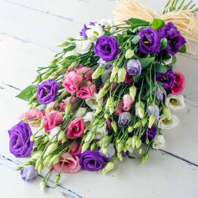 Букет из 15 Эустом (Лизиантус) Букет из 15 Эустом (Лизиантус)