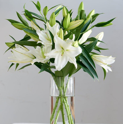 Лилия белая N 842 Лилия белая N 842