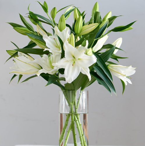 Лилия белая арт. 842