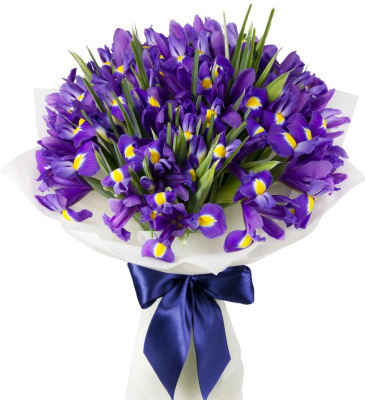 Букет из 51 Ириса 7331